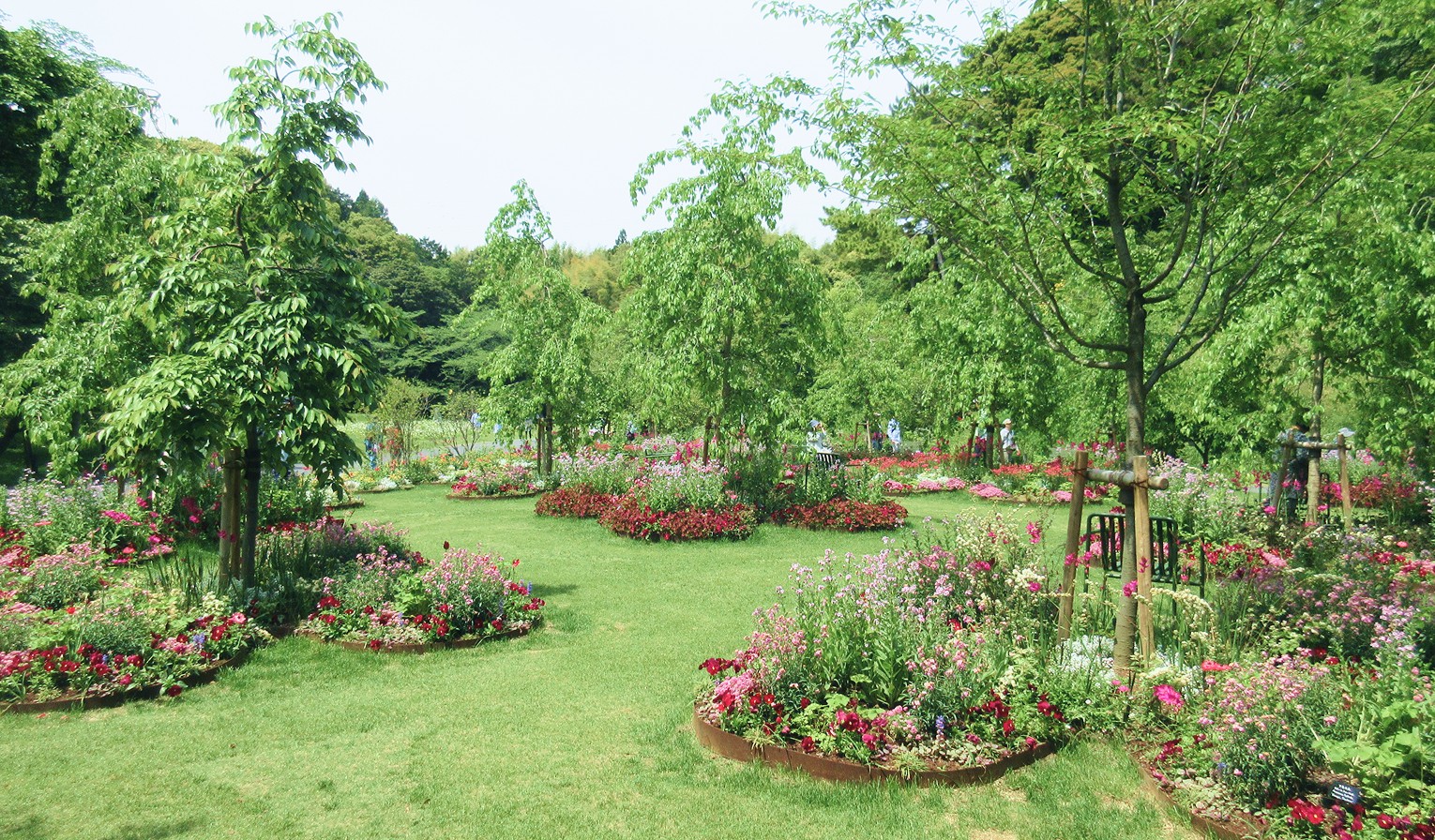 公園の花壇と植栽の景観